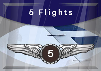 5 Flights Award